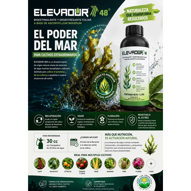 Elevador 48